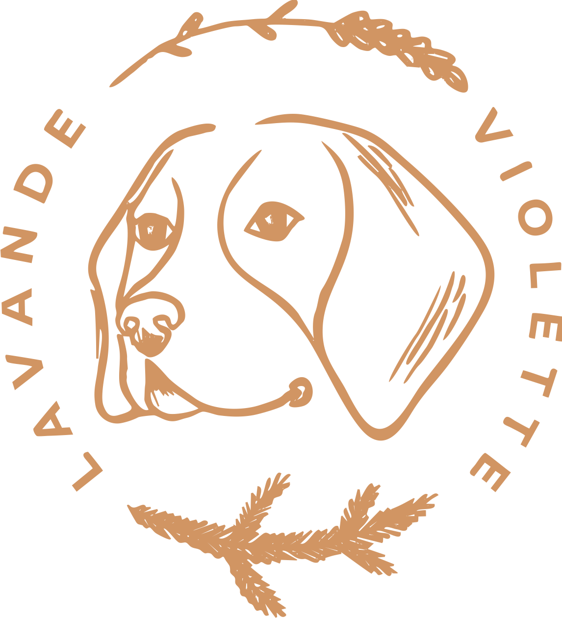 Lavande violette
